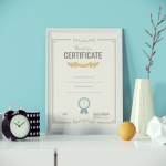 Nginx Proxy Companion VS Portrainer & Traefik in 2025 for Scalable Wordpress Hosting